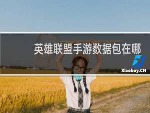 英雄联盟手游数据包在哪里