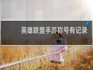 英雄联盟手游称号有记录吗