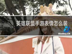 英雄联盟手游表情怎么装