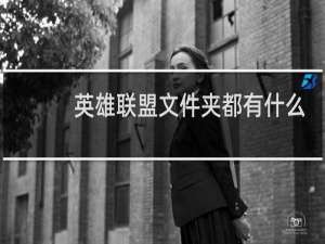 英雄联盟文件夹都有什么