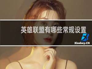 英雄联盟有哪些常规设置