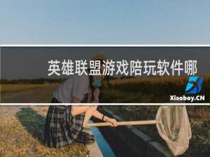英雄联盟游戏陪玩软件哪个最好