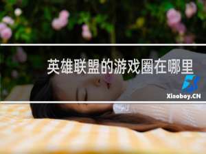 英雄联盟的游戏圈在哪里