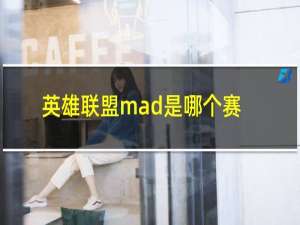 英雄联盟mad是哪个赛区