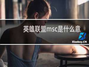 英雄联盟msc是什么意思