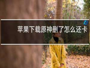 苹果下载原神删了怎么还卡