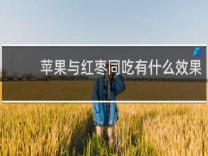 苹果与红枣同吃有什么效果