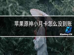 苹果原神小月卡怎么没到账
