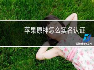 苹果原神怎么实名认证