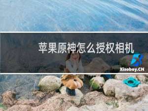 苹果原神怎么授权相机