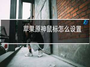 苹果原神鼠标怎么设置