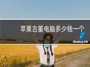 苹果古董电脑多少钱一个