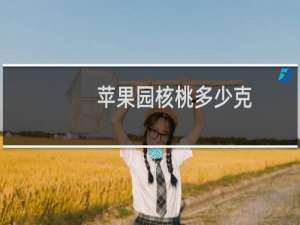 苹果园核桃多少克