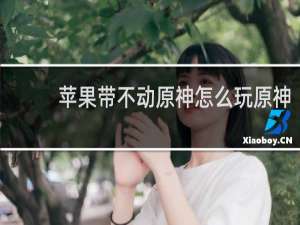 苹果带不动原神怎么玩原神