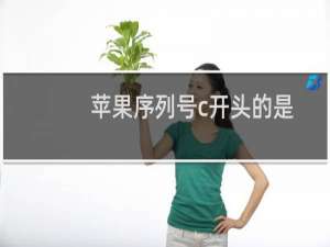 苹果序列号c开头的是什么机（苹果序列号c开头的是什么机）