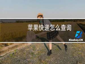 苹果快递怎么查询