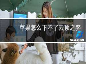 苹果怎么下不了云顶之弈