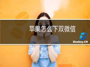 苹果怎么下双微信