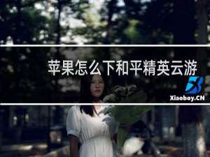 苹果怎么下和平精英云游戏(苹果和平精英怎么登录)