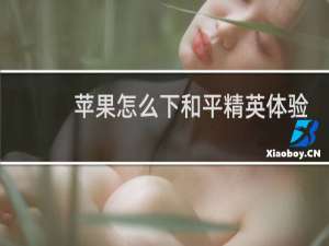 苹果怎么下和平精英体验服(苹果怎么注册和平精英)