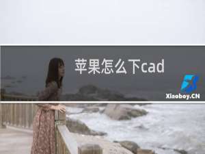 苹果怎么下cad