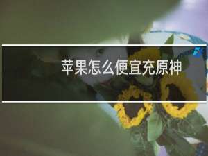苹果怎么便宜充原神