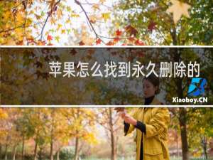 苹果怎么找到永久删除的照片