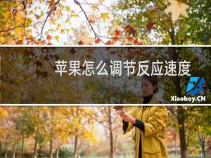 苹果怎么调节反应速度