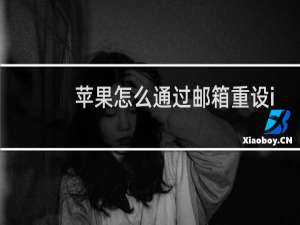 苹果怎么通过邮箱重设id密码