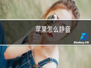 苹果怎么静音
