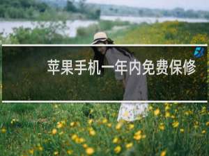 苹果手机一年内免费保修什么