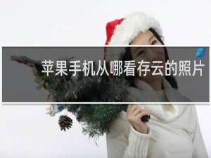 苹果手机从哪看存云的照片