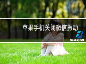 苹果手机关闭微信振动