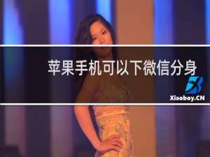 苹果手机可以下微信分身版吗