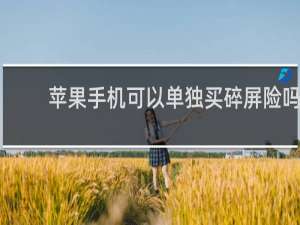 苹果手机可以单独买碎屏险吗