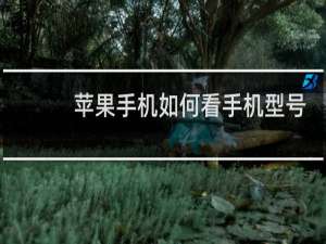 苹果手机如何看手机型号