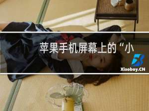 苹果手机屏幕上的“小圆点”怎么设置