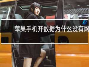 苹果手机开数据为什么没有网