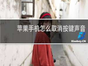 苹果手机怎么取消按键声音