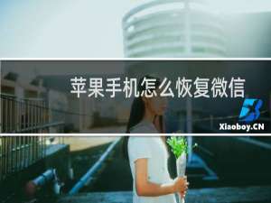 苹果手机怎么恢复微信聊天记录（苹果手机怎么恢复微信聊天记录）