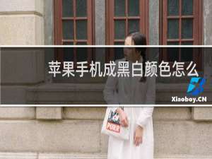 苹果手机成黑白颜色怎么办