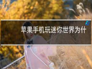 苹果手机玩迷你世界为什么没有网