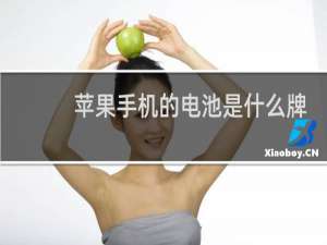 苹果手机的电池是什么牌子的