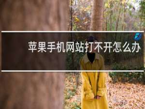 苹果手机网站打不开怎么办