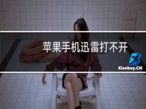 苹果手机迅雷打不开