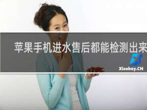 苹果手机进水售后都能检测出来吗