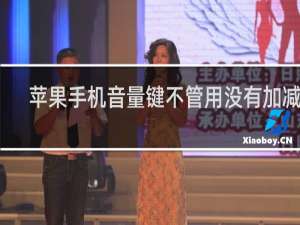 苹果手机音量键不管用没有加减号