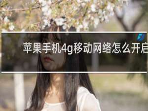 苹果手机4g移动网络怎么开启