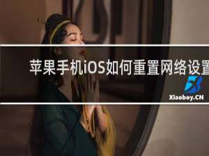 苹果手机iOS如何重置网络设置