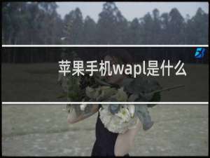 苹果手机wapl是什么